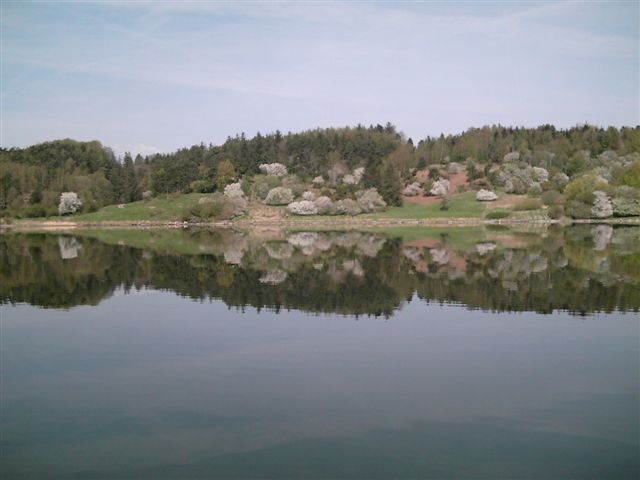 Naturen Ved Mariager Fjord.