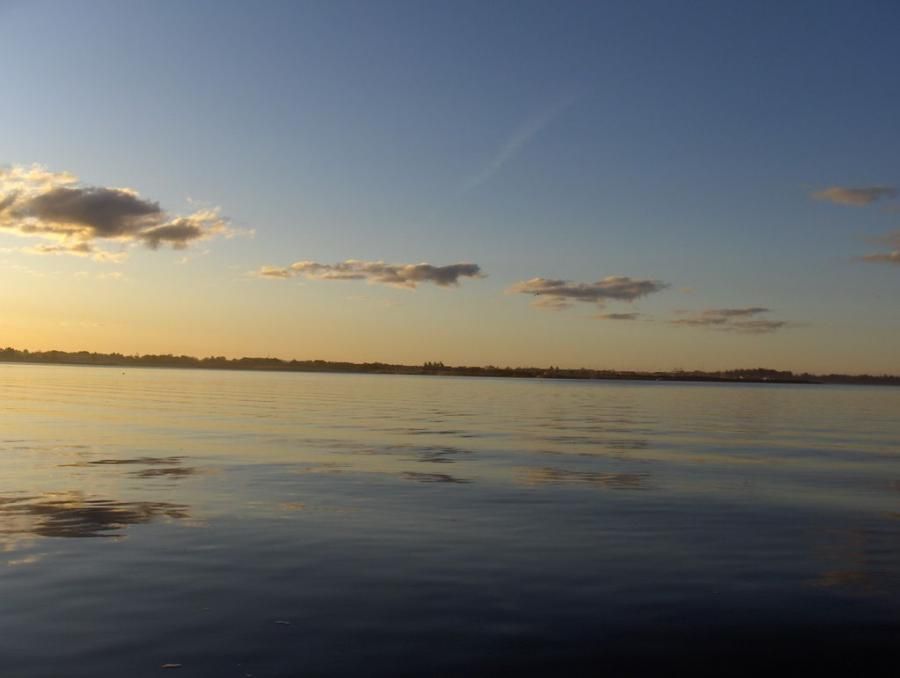 Stille Morgen P Ringkbing Fjord