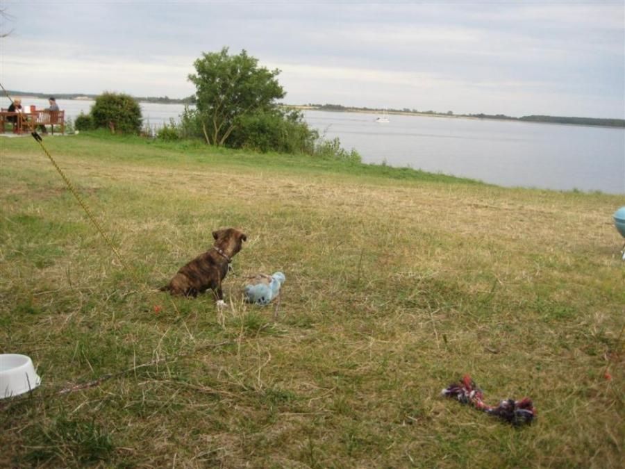 Svendborg Sund 2009